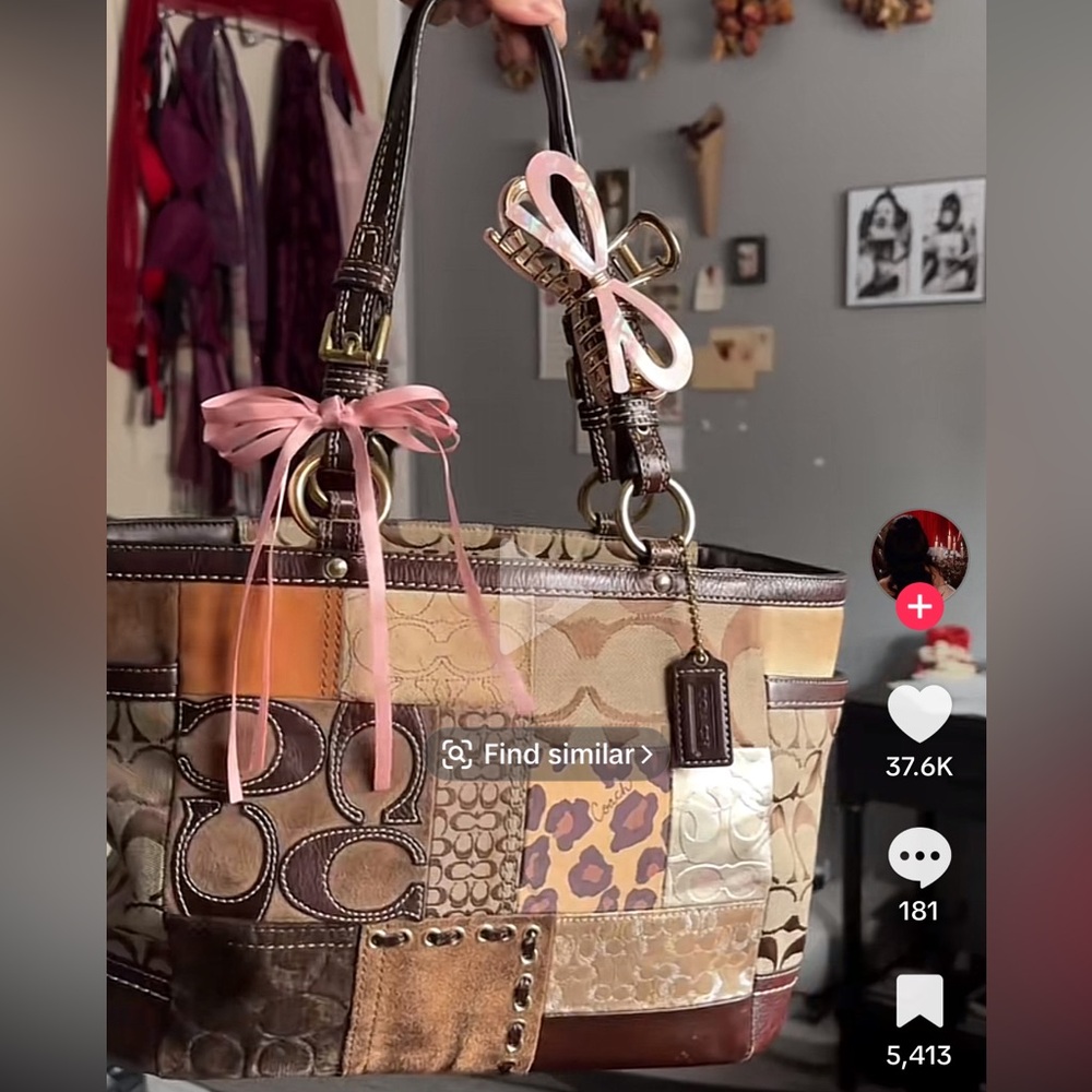 ‼️‼️‼️LOOKING FOR THESE TYPE OF BAGS‼️‼️‼️‼️ - Picture 14 of 14